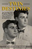 Twin Destinies (eBook, ePUB)