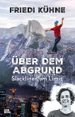 Über dem Abgrund (eBook, PDF)