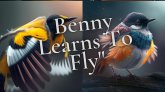 Benny learns to fly (eBook, ePUB) Benny learns to fly (eBook, ePUB)