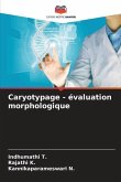 Caryotypage - évaluation morphologique