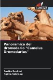 Panoramica del dromedario "Camelus Dromedarius"