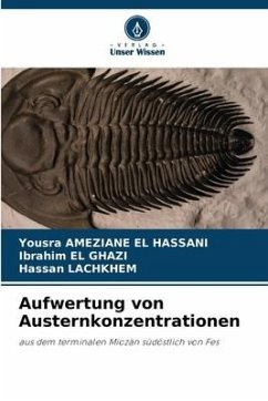 Aufwertung von Austernkonzentrationen - AMEZIANE EL HASSANI, Yousra;El Ghazi, Ibrahim;LACHKHEM, Hassan