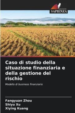 Caso di studio della situazione finanziaria e della gestione del rischio - Zhou, Fangyuan;Xu, Shiyu;Kuang, Xiying