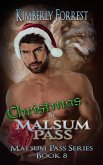 Christmas in Malsum Pass (Malsum Pass Series, #8) (eBook, ePUB)
