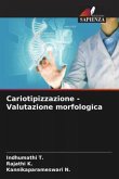 Cariotipizzazione - Valutazione morfologica