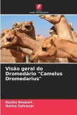 Visão geral do Dromedário "Camelus Dromedarius"