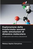 Esplorazione della trasformata wavelet nelle simulazioni di dinamica molecolare