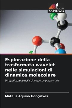 Esplorazione della trasformata wavelet nelle simulazioni di dinamica molecolare - Aquino Gonçalves, Mateus