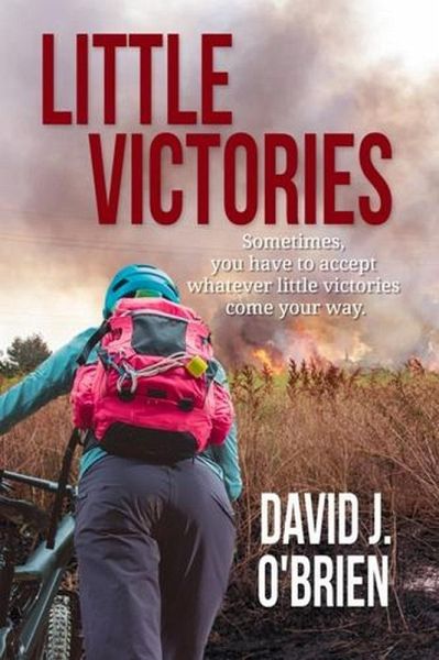 Little Victories (eBook, ePUB) Little Victories (eBook, ePUB)