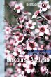 Understanding Discourse Analysis... - Bild 1
