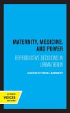 Maternity, Medicine, and Power (eBook, ePUB)
