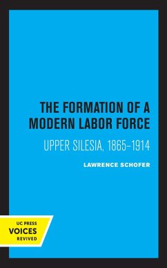 The Formation of a Modern Labor Force (eBook, ePUB) - Schofer, Lawrence