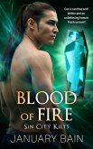 Blood of Fire (eBook, ePUB)