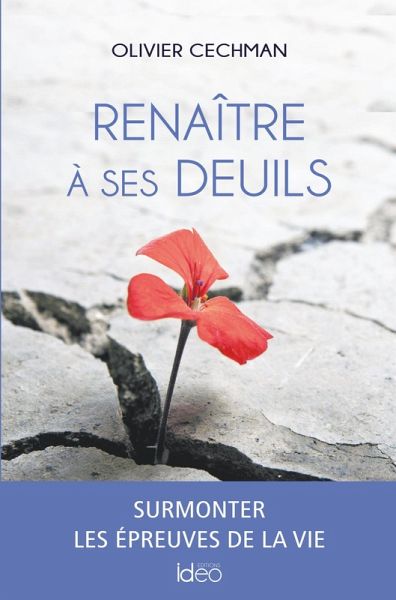 Renaître à ses deuils (eBook, ePUB) Renaître à ses deuils (eBook, ePUB)