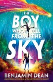 The Boy Who Fell From the Sky (eBook, ePUB)