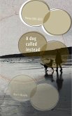 A Dog Called Instead (eBook, ePUB)