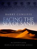 Facing the Sea of Sand (eBook, PDF)
