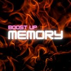 Memory Boosting (eBook, ePUB)