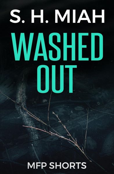 Washed Out (eBook, ePUB)
