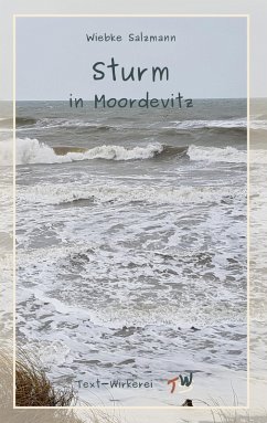 Cover Sturm in Moordevitz