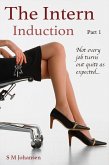 The Intern (eBook, ePUB) The Intern (eBook, ePUB)