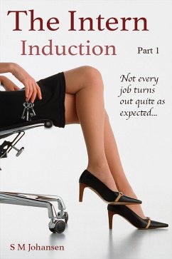 Cover The Intern (eBook, ePUB)