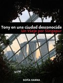 Tony en una ciudad desconocida: Un viaje por Singapur (eBook, ePUB)