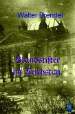 Brandstifter im Reichstag (eBook, ePUB)