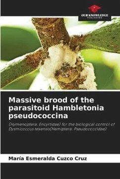 Massive brood of the parasitoid Hambletonia pseudococcina - Cuzco Cruz, María Esmeralda