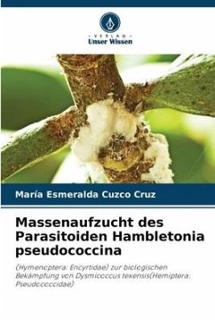 Massenaufzucht des Parasitoiden Hambletonia pseudococcina - Cuzco Cruz, María Esmeralda