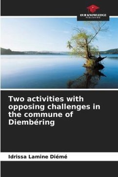 Two activities with opposing challenges in the commune of Diembéring - Diémé, Idrissa Lamine
