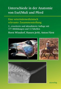 Unterschiede in der Anatomie von Esel/Muli und Pferd - Wißdorf, Horst;Jerbi, Hassen;Fürst, Anton