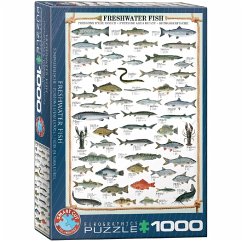 Eurographics 6000-0312 - Süßwasserfische, Puzzle, 1.000 Teile