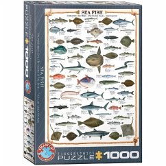 Eurographics 6000-0313 - Seefische, Puzzle, 1.000 Teile