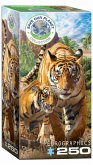 Eurographics 8251-5559 - Tiger, Puzzle, 250 Teile Eurographics 8251-5559 - Tiger, Puzzle, 250 Teile