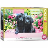 Eurographics 6500-5462 - Schwarze Labradore in einer rosa Schachtel, Puzzle, 500 Teile