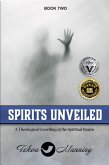 Spirits Unveiled: A Theological Unveiling of the Spiritual Realm (Unmasking the Unseen Series, #2) (eBook, ePUB)