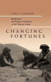 Changing Fortunes (eBook, ePUB)