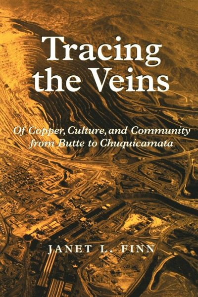 Tracing the Veins (eBook, ePUB)