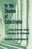 In the Shadow of Catastrophe (eBook, ePUB)