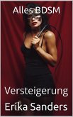 Alles BDSM. Versteigerung (eBook, ePUB)