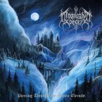 Piercing Through The Frozen Eternity (Cd)