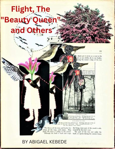 Flight, The Beauty Queen and Others (eBook, ePUB) Flight, The Beauty Queen and Others (eBook, ePUB)