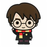 Harry Potter 2D Leuchte