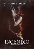 Incendio, Piromanía desatada (eBook, ePUB)