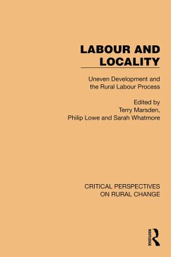 Labour and Locality (eBook, ePUB)