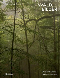 Waldbilder - Bühler, Markus