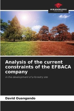 Analysis of the current constraints of the EFBACA company - Ouangando, David