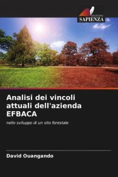 Cover Analisi dei vincoli attuali dell'azienda EFBACA