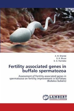 Fertility associated genes in buffalo spermatozoa - Shende, A. M.;Bhure, S. K.;Ramteke, S. S.